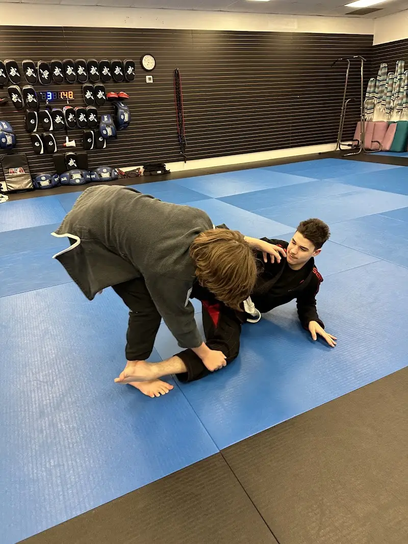 Iredell Jiu-Jitsu Academy BJJ Academy - photo 1