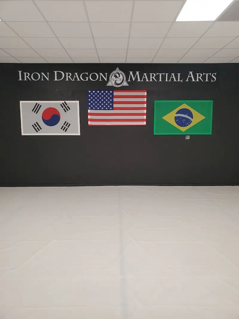 Iron Dragon Martial Arts