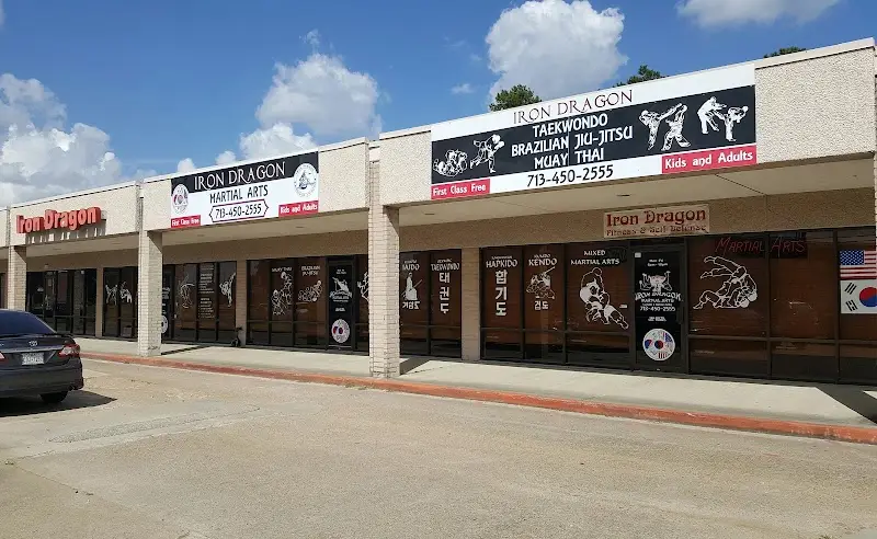 Iron Dragon Martial Arts BJJ Academy - photo 1