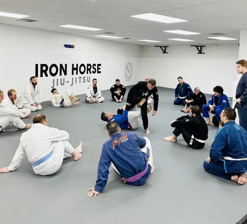 Iron Horse Brazilian Jiu Jitsu BJJ Academy - photo 1