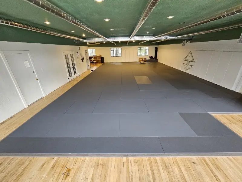Iron Roots Brazilian Jiu Jitsu BJJ Academy - photo 1