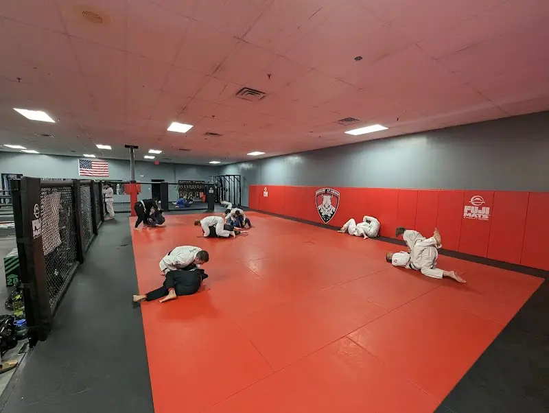 IronHide Academy BJJ Academy - photo 1