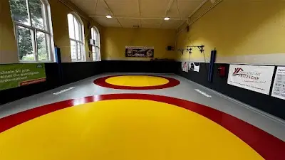 Ironmat Jiu Jitsu BJJ Academy - photo 2