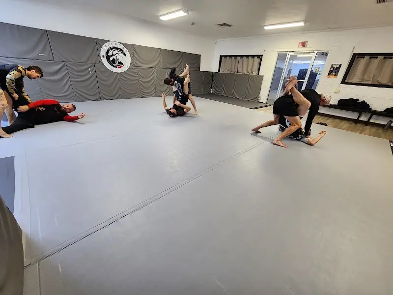 Ironwood Jiu-Jitsu