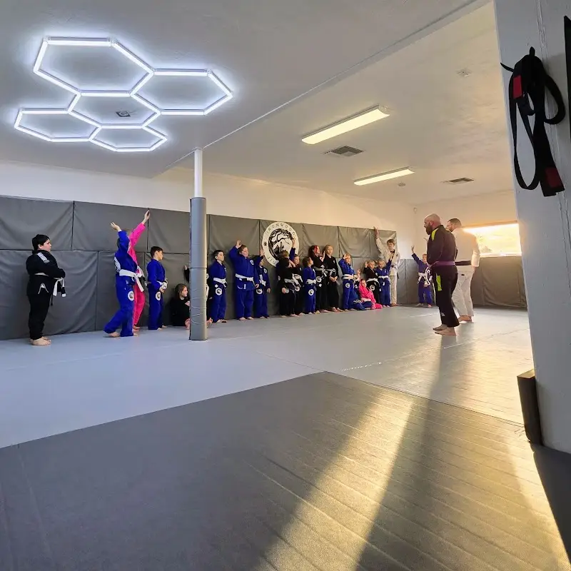 Ironwood Jiu-Jitsu BJJ Academy - photo 1