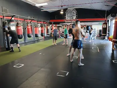 Ironworks Gym: Combat Training Center BJJ Academy - photo 1