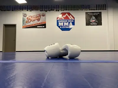 Jackson Hole MMA BJJ Academy - photo 1