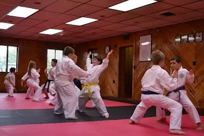 Japan Karate-Do Genbu-Kai of Indiana BJJ Academy - photo 1