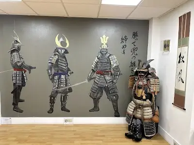 Japanese Jiu Jitsu in London BJJ Academy - photo 1