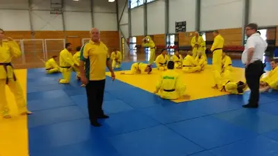 Japanese Ju Jitsu School BJJ Academy - photo 1