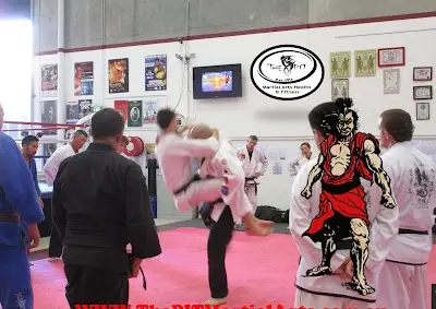 Japanese Ju Jitsu School BJJ Academy - photo 2