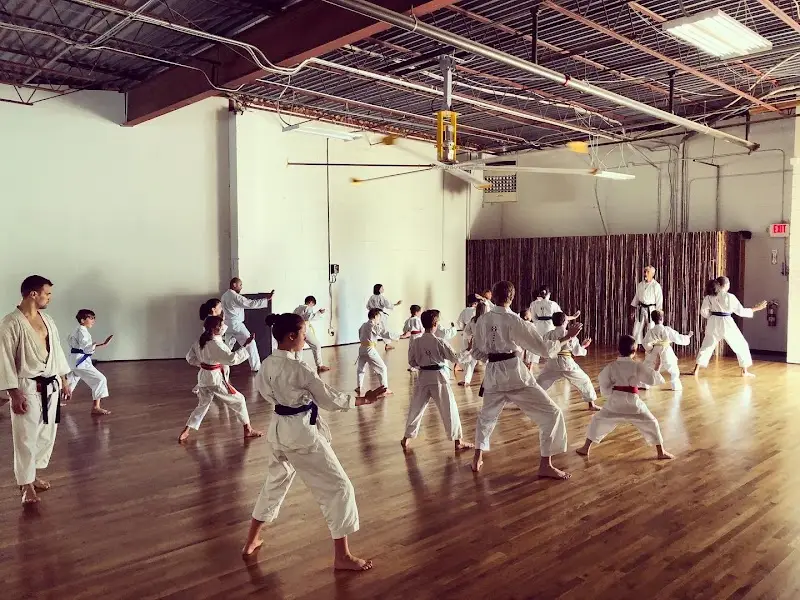 Jinsendo Martial Arts BJJ Academy - photo 1