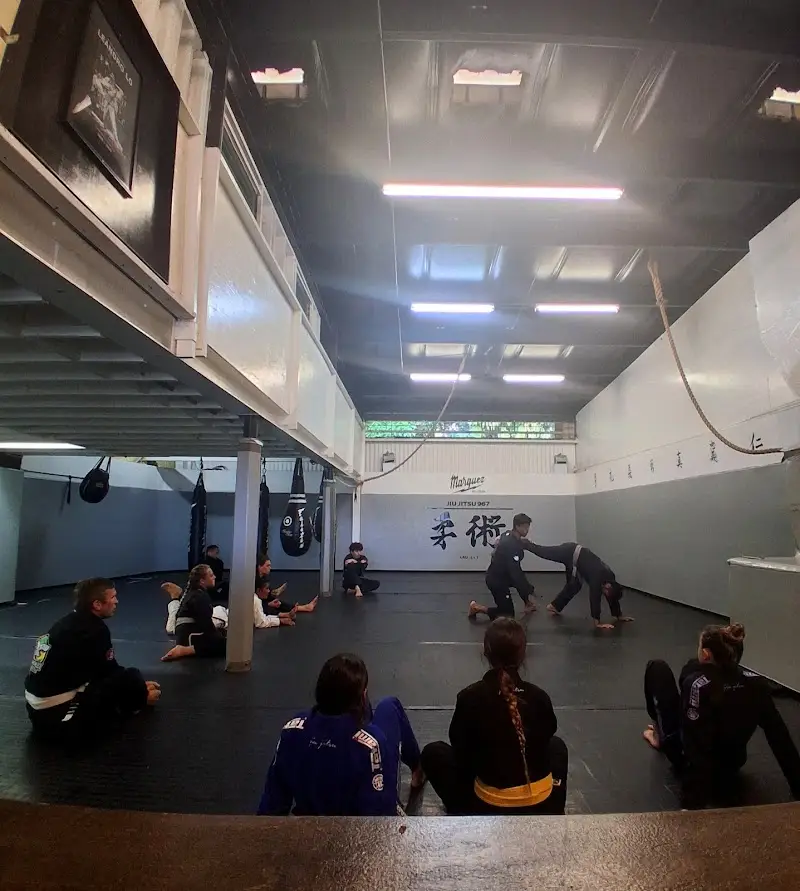 Jiu Jitsu 967