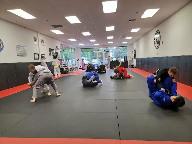 Jiu-Jitsu Dynamics BJJ Academy - photo 2