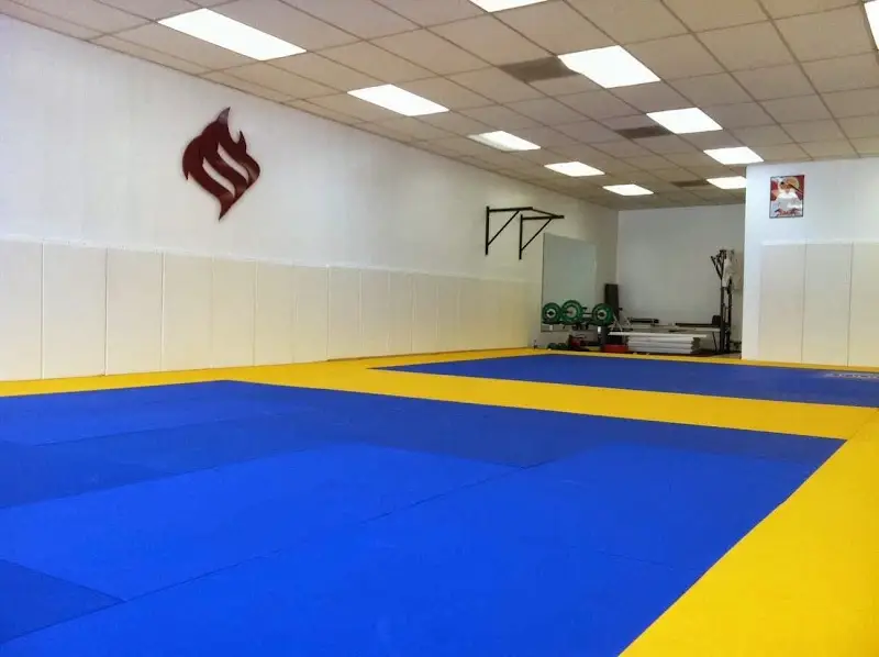Jiu Jitsu Foundation BJJ Academy - photo 1