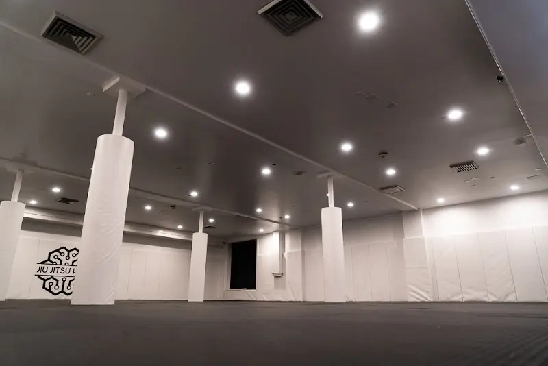 JIU JITSU HAUS BJJ Academy - photo 2