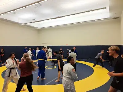 Jiu-Jitsu Kingston BJJ Academy - photo 1