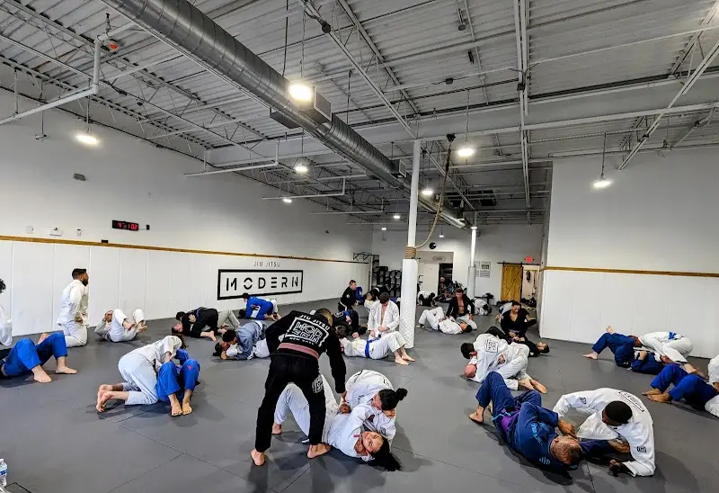 JIU JITSU MODERN
