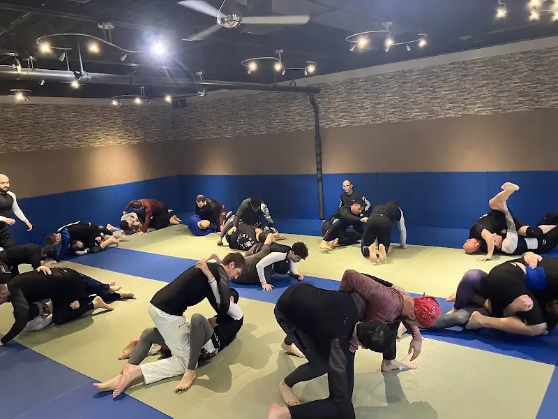 Jiu Jitsu North Jersey (formerly Otimo BJJ) BJJ Academy - photo 2
