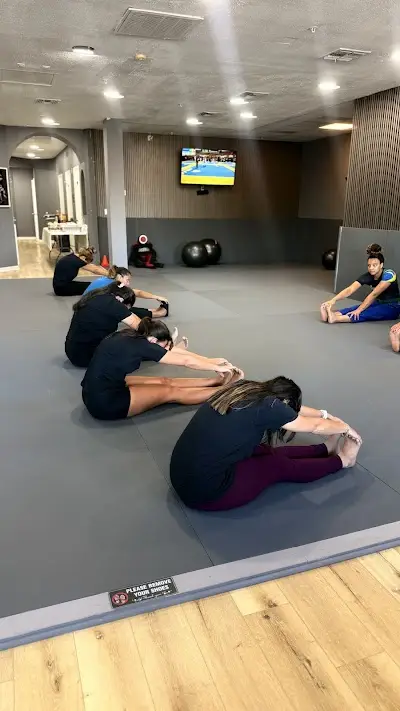 JIU JITSU SCHOOL BJJ Academy - photo 2