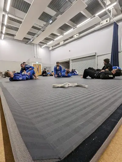 Jiu-Jitsu Social BJJ Academy - photo 1