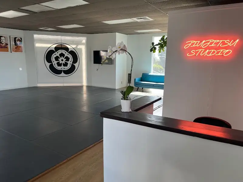 Jiu jitsu Studio BJJ Academy - photo 1
