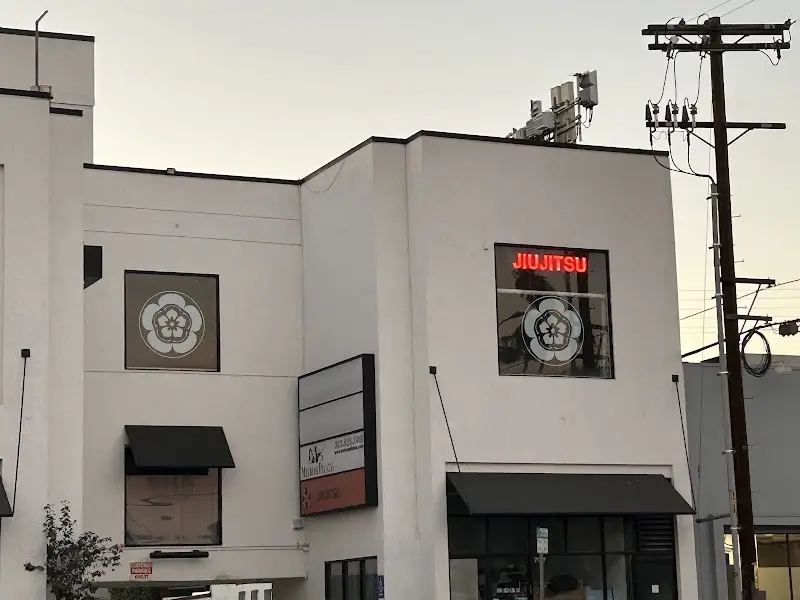Jiu jitsu Studio BJJ Academy - photo 2