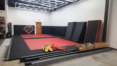 Jiu-Jitsu Syndicate BJJ Academy - photo 2