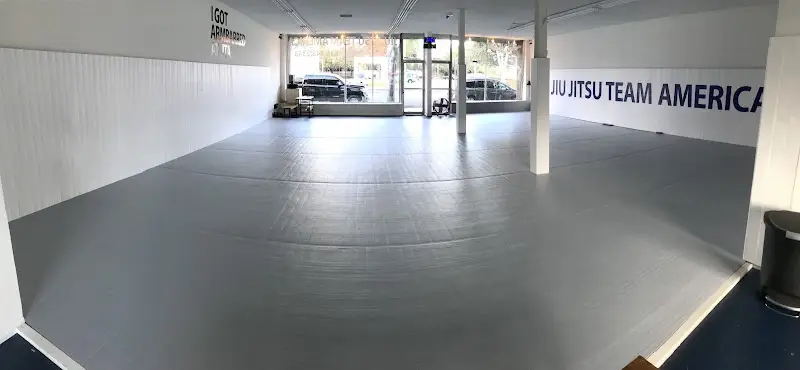 Jiu Jitsu Team America BJJ Academy - photo 2