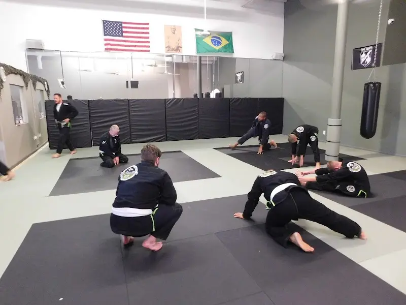 Jiu Jitsu Tech & Muay Thai BJJ Academy - photo 1
