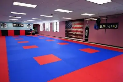 Jiu-Jitsu USA Brazilian Jiu-Jitsu & Fitness Club BJJ Academy - photo 1