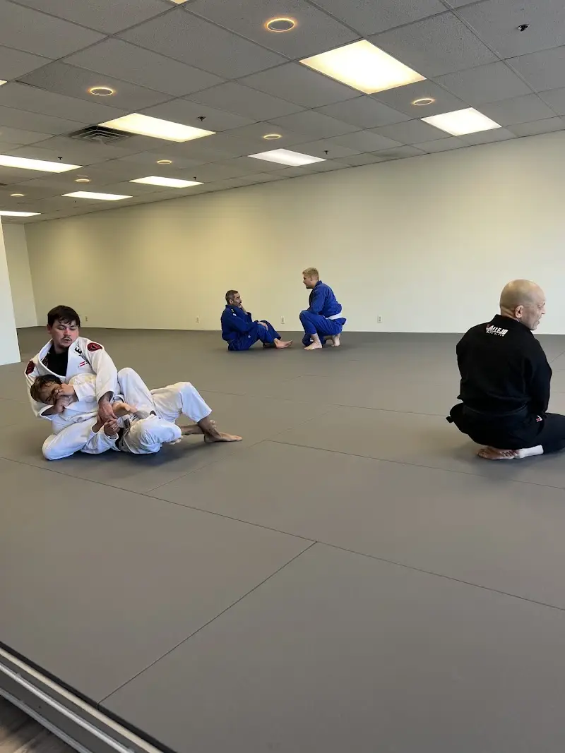Jiu Jitsu BJJ Academy - photo 1