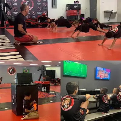 JiuJitsu4Life Coral Springs Jiu Jitsu & Martial Arts BJJ Academy - photo 4