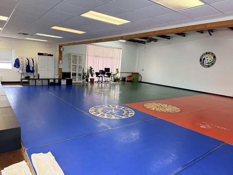 Joao Crus Brazilian Jiu-Jitsu BJJ Academy - photo 1