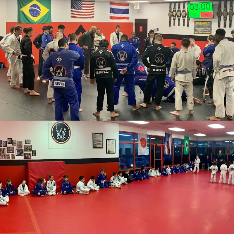 Jorge Gurgel Martial Arts Center Lebanon BJJ Academy - photo 2
