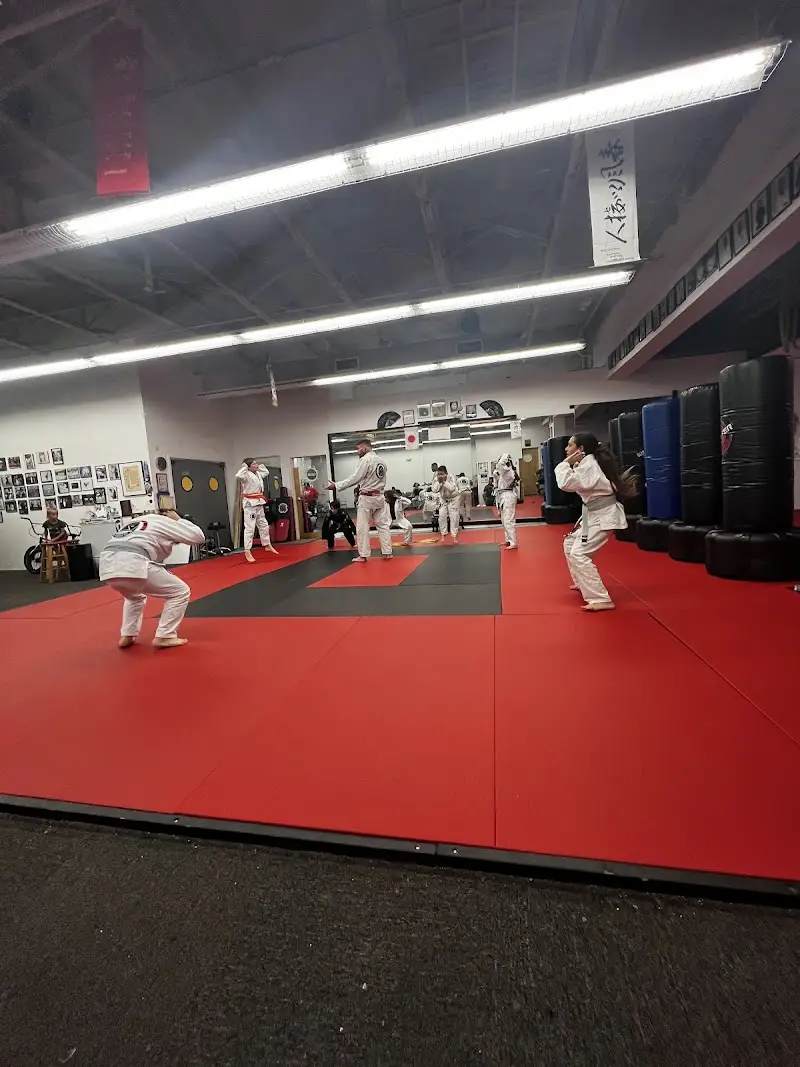 Jorge Pereira Jiu Jitsu South Beach Miami BJJ Academy - photo 1