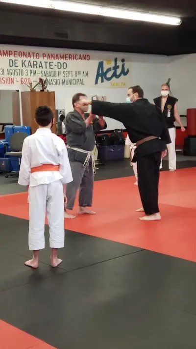 Josho Academy of Martial Arts BJJ Academy - photo 1