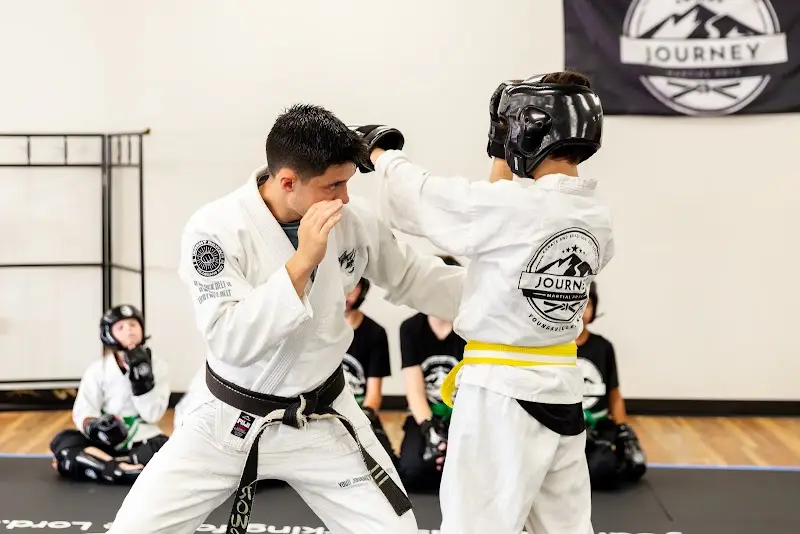 Journey Martial Arts Academy BJJ Academy - photo 2