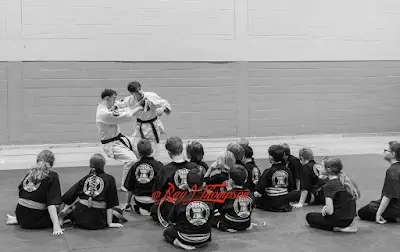 Ju Jitsu - Thetford - Norfolk Martial Arts BJJ Academy - photo 3