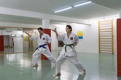 Ju-Jitsu | Selbstverteidigung | Budo Yoshin Ryu St. Gallen BJJ Academy - photo 1