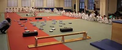 Ju-Jitsu Sachsen Anhalt e.V. BJJ Academy - photo 1