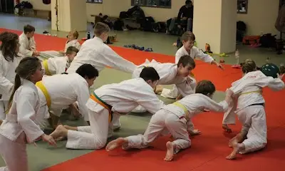 Ju-Jitsu Sachsen Anhalt e.V. BJJ Academy - photo 2