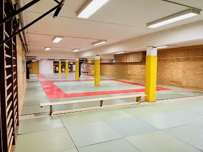 Ju-Jutsu, BJJ & FMA TV Cannstatt