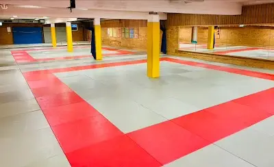 Ju-Jutsu, BJJ & FMA TV Cannstatt BJJ Academy - photo 2