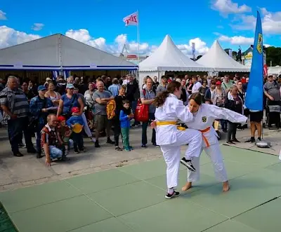 Ju-Jutsu Polizei-Sportverein München BJJ Academy - photo 1