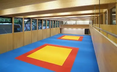 Judo & Ju-Jitsu Club Weinfelden