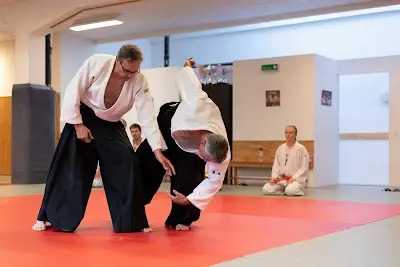 Judo Jiu-Jitsu Institute Sàrl