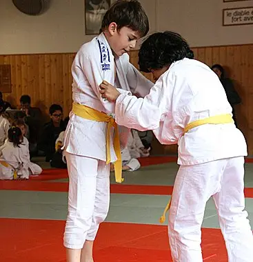 Judo Jiu-Jitsu Institute Sàrl BJJ Academy - photo 1