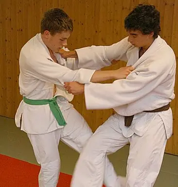 Judo Jiu-Jitsu Institute Sàrl BJJ Academy - photo 4
