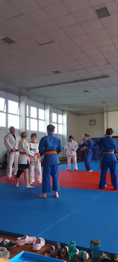 Judo Swansea @ Penlan Leisure Centre BJJ Academy - photo 4